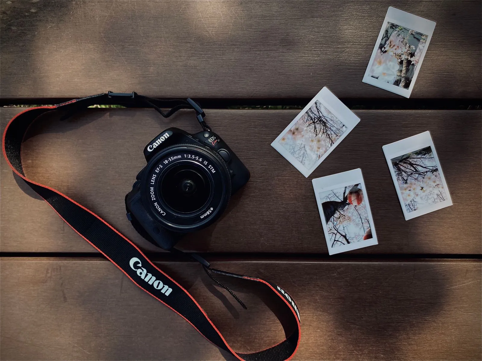 Tips for Better Instant Photos in New Orleans